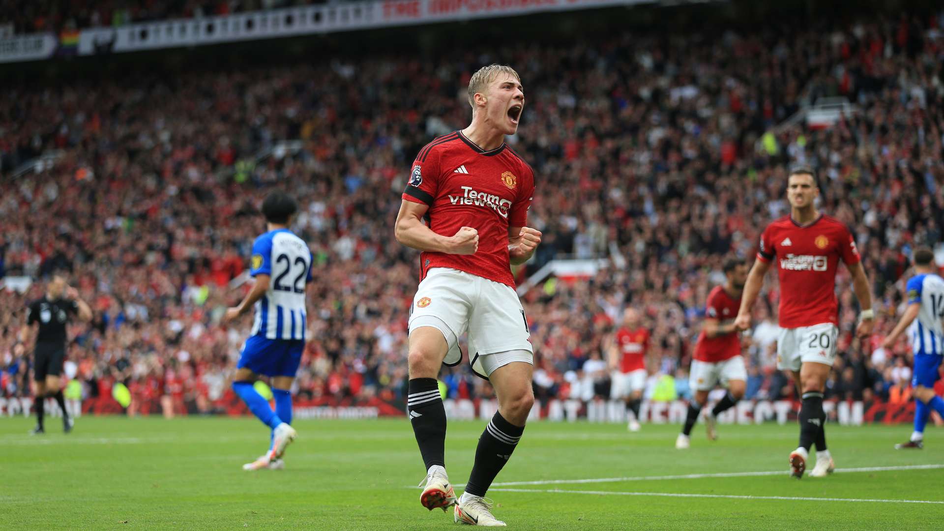 这一系列的 这一系列的